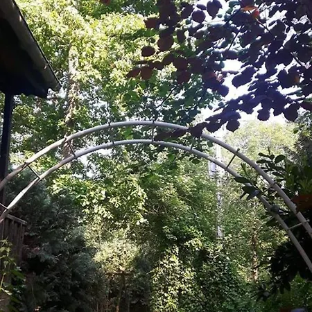Chalet Chemin Des Chenes Chalé Durbuy